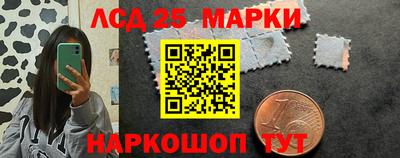 ешки Сланцы