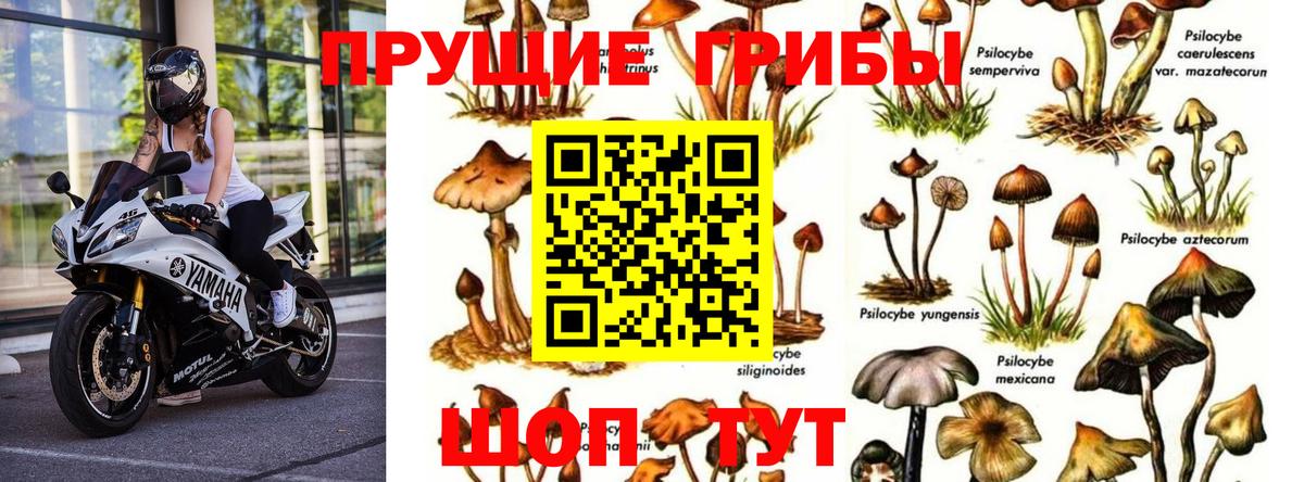 Можга  Галлюциногенные грибы мицелий  Вход с VPN 